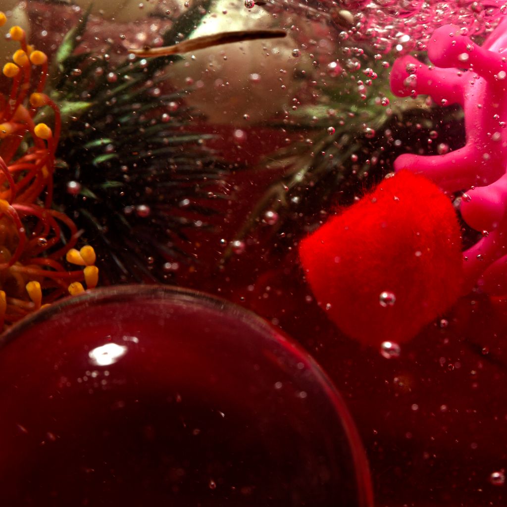 Image may contain Plant Light Droplets Bubbles