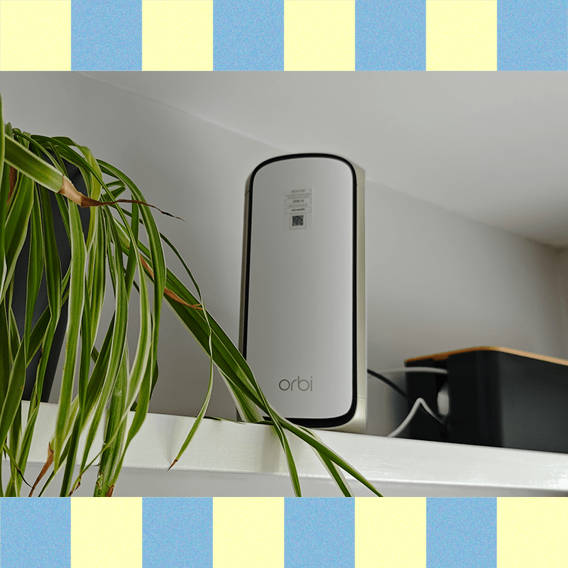 Image may contain Electronics Mobile Phone Phone Plant Potted Plant Computer Hardware and Hardware